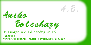 aniko bolcshazy business card